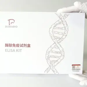 人血管緊張素轉化酶 (ACE) ELISA 試劑盒