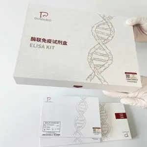 人可溶性白細胞抗原G(sHLA-G)ELISA檢測試劑盒